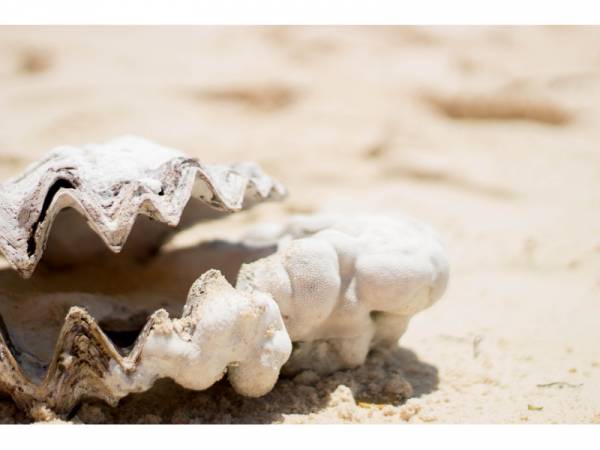 Reiselade Huttwil GmbH