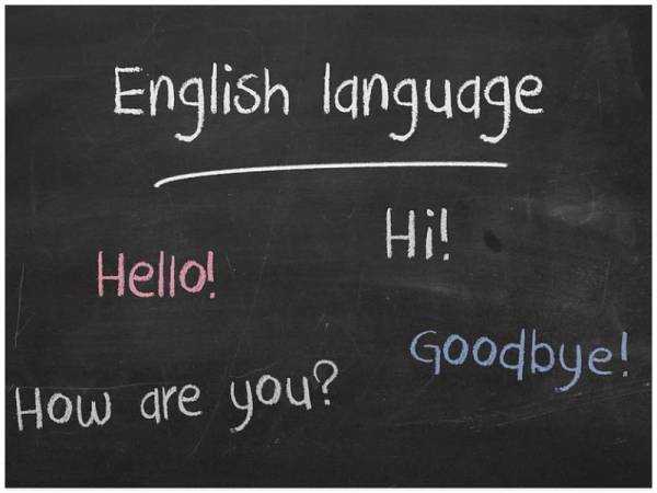 Fremdsprachen lernen mit Multimedia Sprachkurse Software