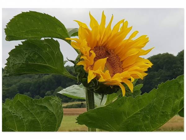 Das Exerzitienhaus Himmelspforten