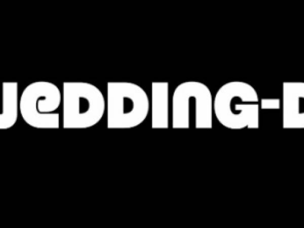 Profi Hochzeit DJ in der Nähe buchen / mieten