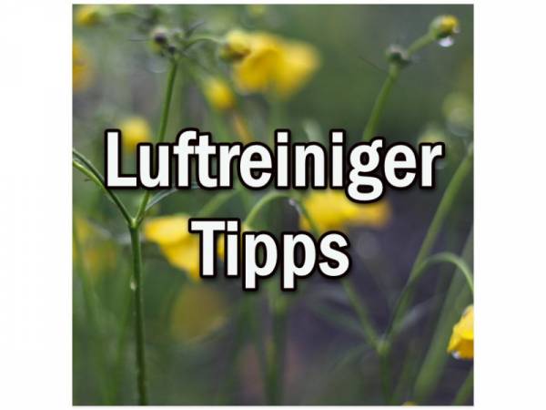 Luftreiniger Informationen und Tipps