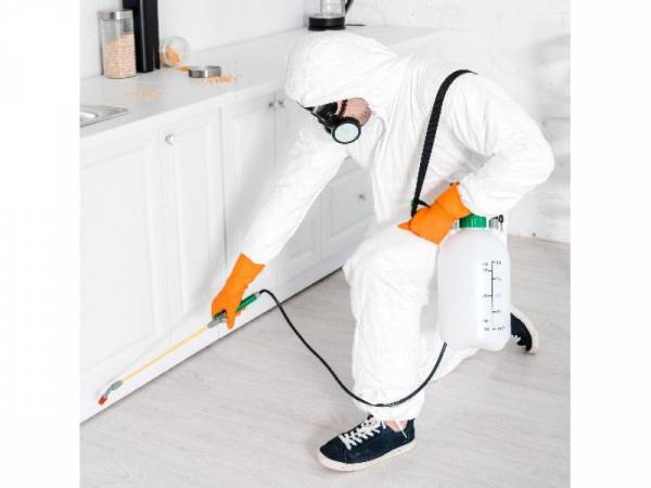 Der Professionelle Kammerjäger und Schädlingsbekämpfung