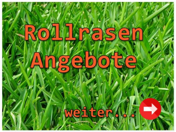 Günstig Rollrasen kaufen