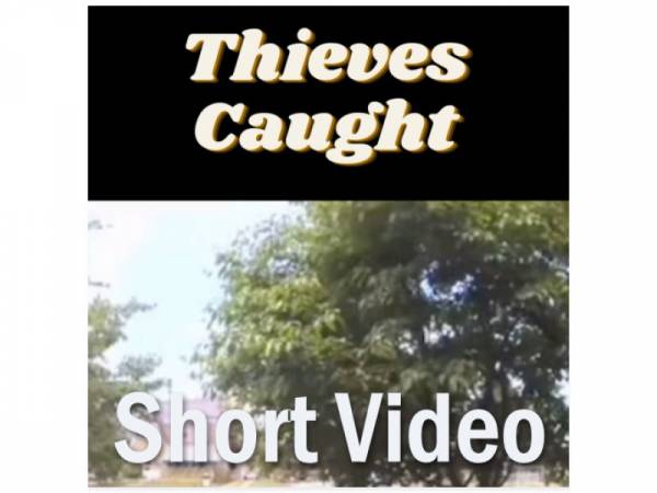 Short Video Thief Caught