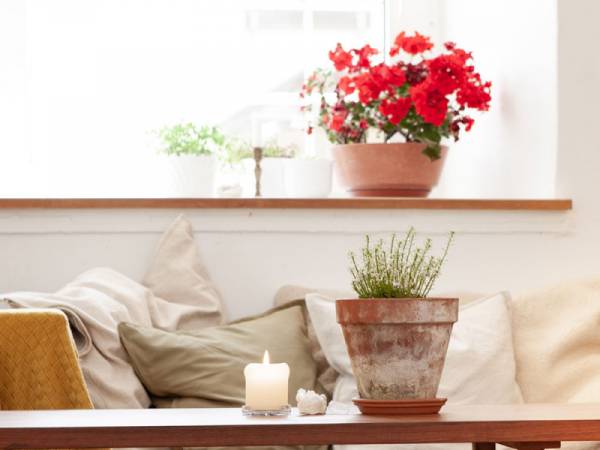 Psychotherapie Linz Leonding - Mag. Martina Simbürger MAS