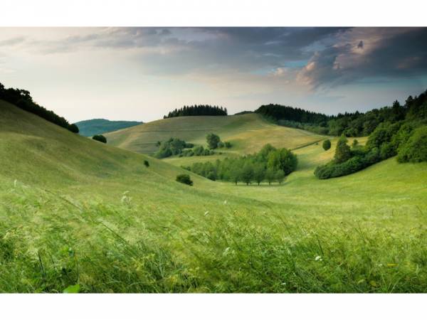 Rheinland Pfalz Urlaub