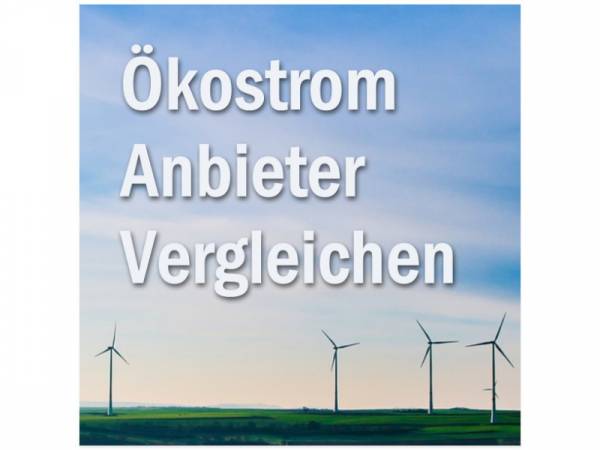 Ökostrom Anbieter Online Vergleichen und Geld sparen