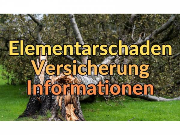 Elementarschadenversicherung gegen Elementarschäden