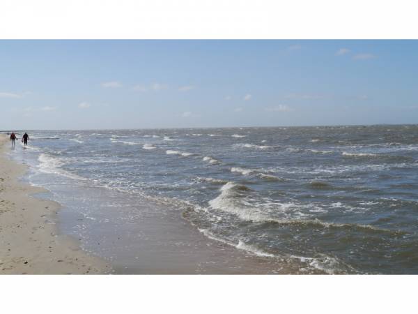 Vermietungsbüro Bruns